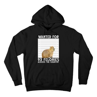 Wanted For 93 Felonies Across The Country Capybara Mugshot Hoodie