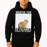 Wanted For 93 Felonies Across The Country Capybara Mugshot Hoodie