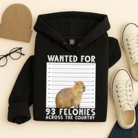 Wanted For 93 Felonies Across The Country Capybara Mugshot Hoodie