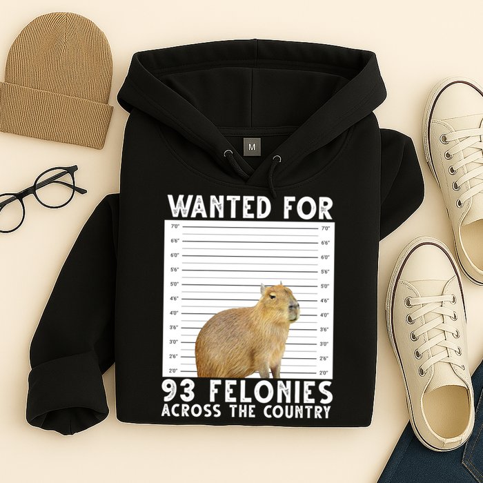 Wanted For 93 Felonies Across The Country Capybara Mugshot Hoodie