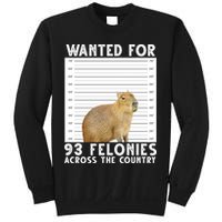 Wanted For 93 Felonies Across The Country Capybara Mugshot Sweatshirt