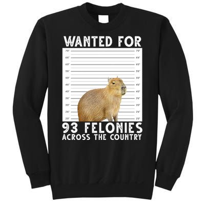 Wanted For 93 Felonies Across The Country Capybara Mugshot Sweatshirt