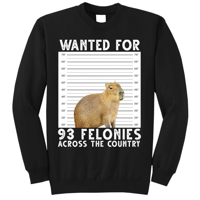 Wanted For 93 Felonies Across The Country Capybara Mugshot Sweatshirt