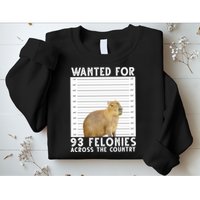 Wanted For 93 Felonies Across The Country Capybara Mugshot Sweatshirt