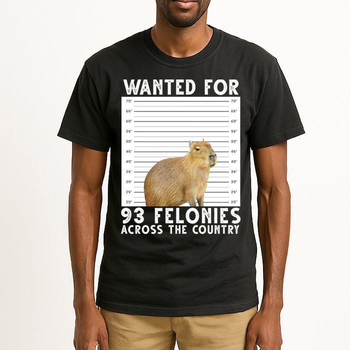 Wanted For 93 Felonies Across The Country Capybara Mugshot Tall T-Shirt