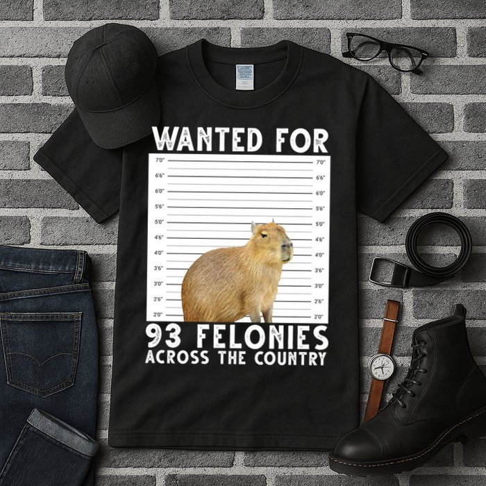 Wanted For 93 Felonies Across The Country Capybara Mugshot Tall T-Shirt