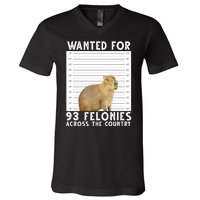 Wanted For 93 Felonies Across The Country Capybara Mugshot V-Neck T-Shirt