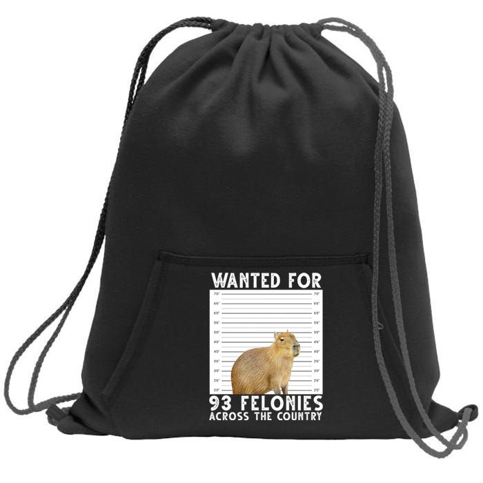 Wanted For 93 Felonies Across The Country Capybara Mugshot Sweatshirt Cinch Pack Bag