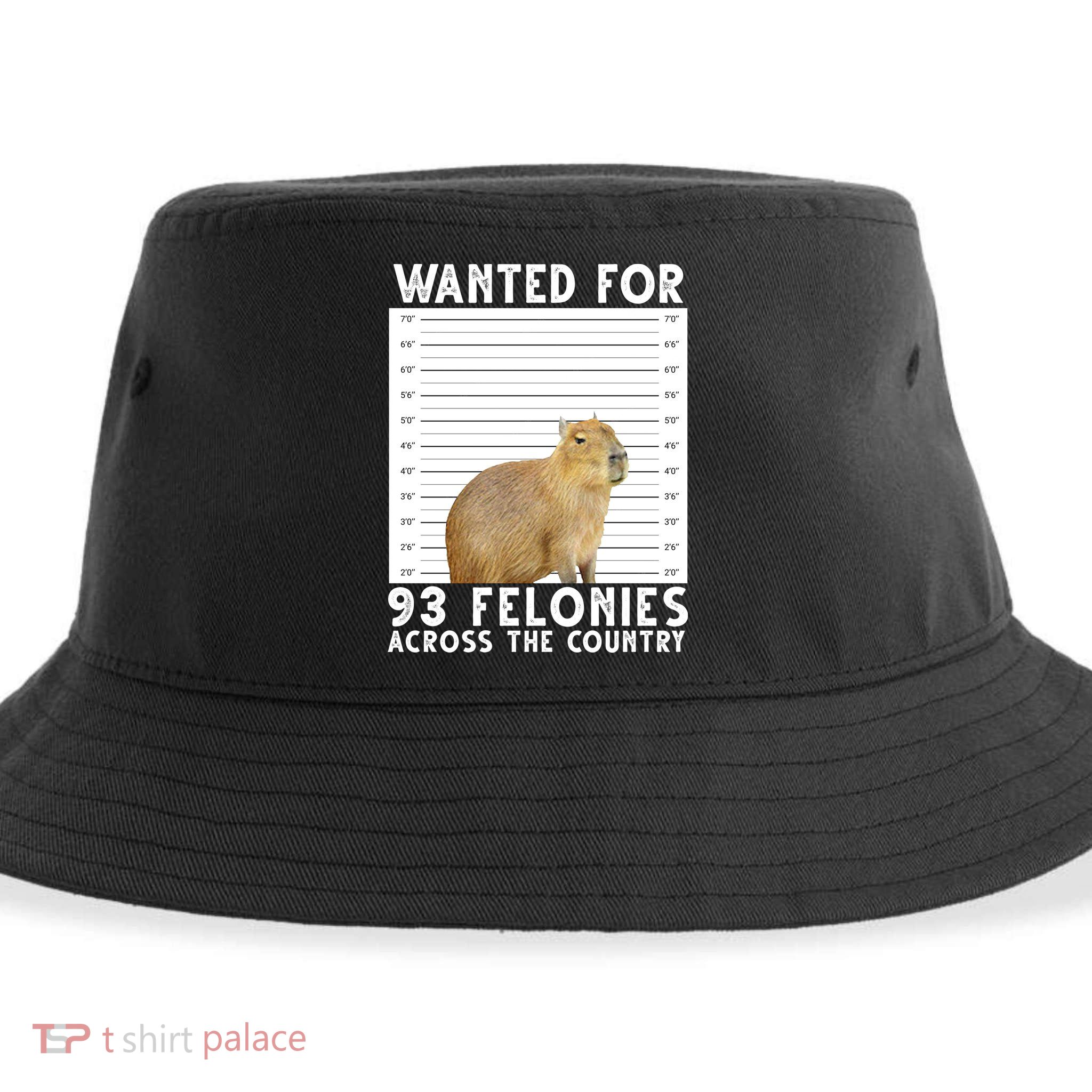 Wanted For 93 Felonies Across The Country Capybara Mugshot Sustainable Bucket Hat