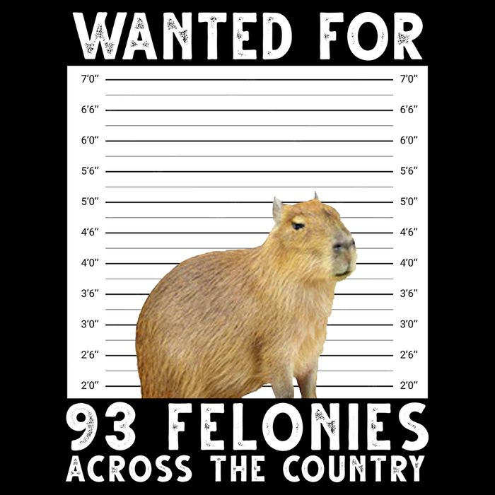 Wanted For 93 Felonies Across The Country Capybara Mugshot 7-Panel Snapback Hat