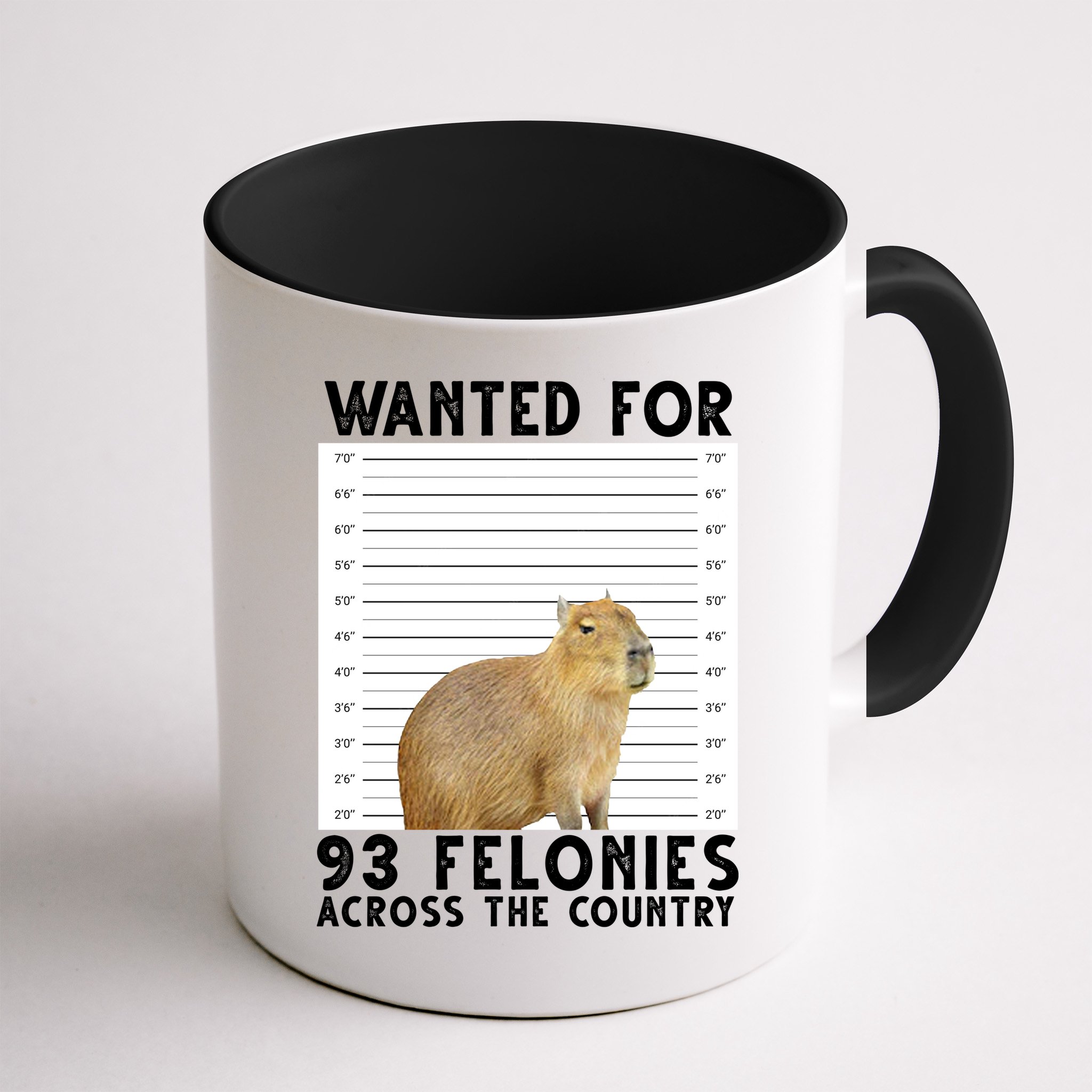 Wanted For 93 Felonies Across The Country Capybara Mugshot Mug