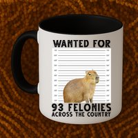 Wanted For 93 Felonies Across The Country Capybara Mugshot Mug