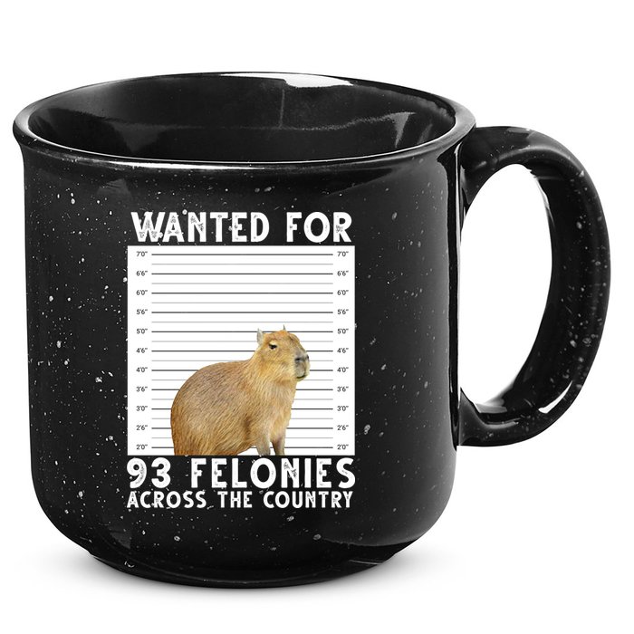 Wanted For 93 Felonies Across The Country Capybara Mugshot 15oz Campfire Ceramic Mug