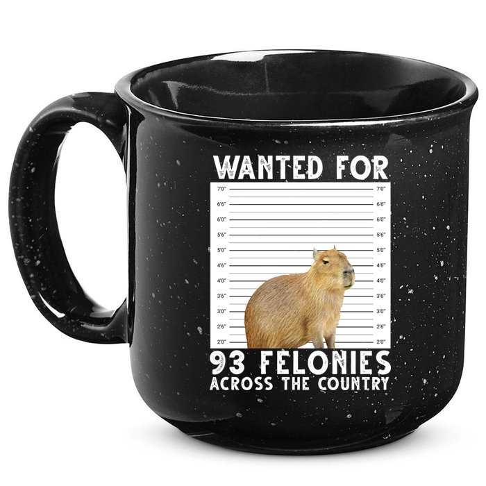 Wanted For 93 Felonies Across The Country Capybara Mugshot 15oz Campfire Ceramic Mug