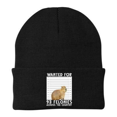 Wanted For 93 Felonies Across The Country Capybara Mugshot Beanie