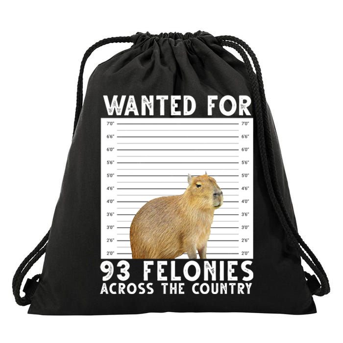 Wanted For 93 Felonies Across The Country Capybara Mugshot Drawstring Bag