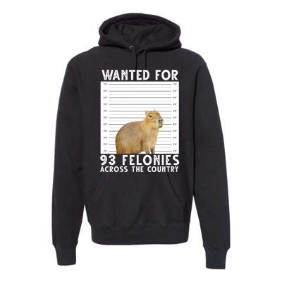 Wanted For 93 Felonies Across The Country Capybara Mugshot Premium Hoodie