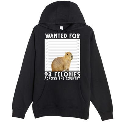 Wanted For 93 Felonies Across The Country Capybara Mugshot Premium Pullover Hoodie