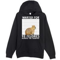 Wanted For 93 Felonies Across The Country Capybara Mugshot Premium Pullover Hoodie