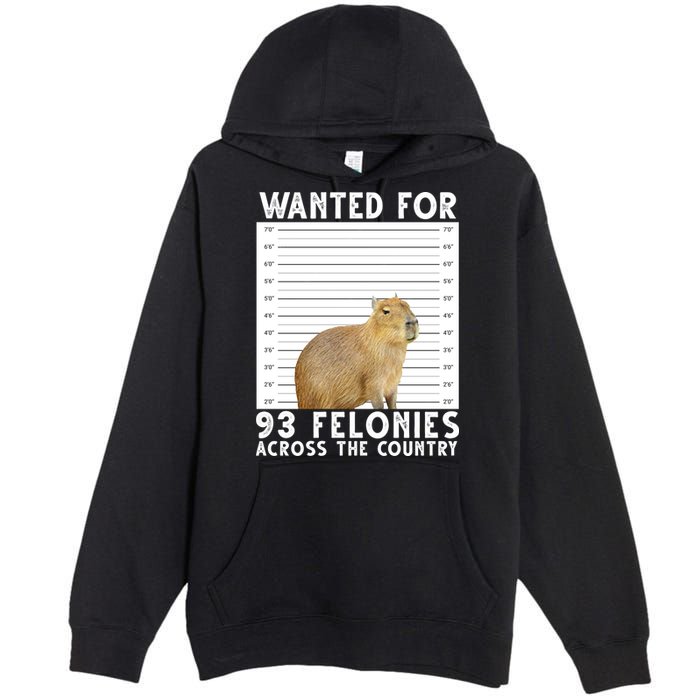 Wanted For 93 Felonies Across The Country Capybara Mugshot Premium Pullover Hoodie