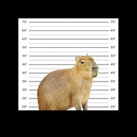 Wanted For 93 Felonies Across The Country Capybara Mugshot 16oz Travel Tumbler