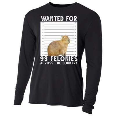 Wanted For 93 Felonies Across The Country Capybara Mugshot Cooling Performance Long Sleeve Crew