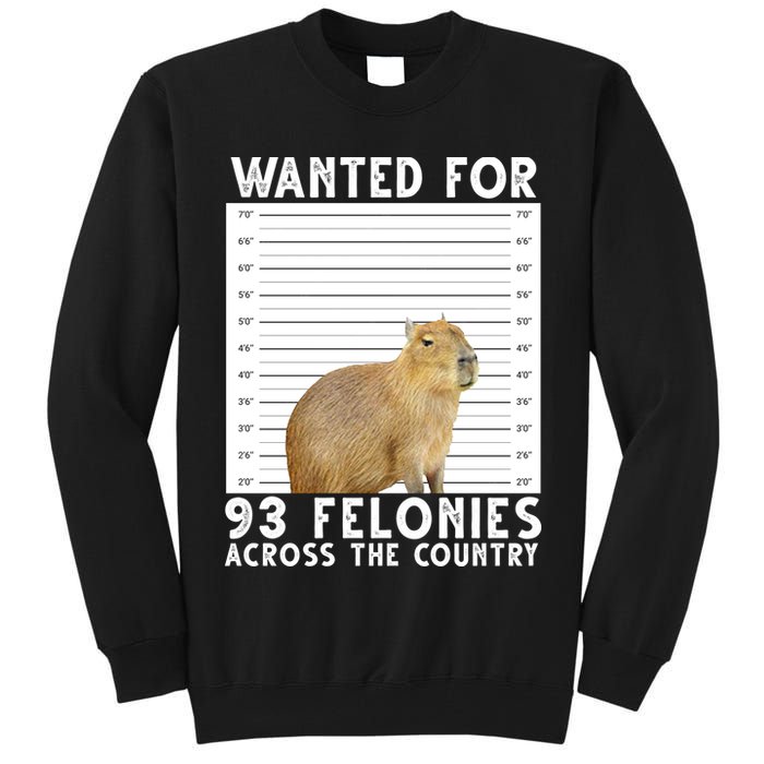 Wanted For 93 Felonies Across The Country Capybara Mugshot Tall Sweatshirt