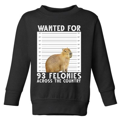 Wanted For 93 Felonies Across The Country Capybara Mugshot Toddler Sweatshirt