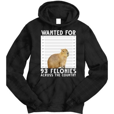 Wanted For 93 Felonies Across The Country Capybara Mugshot Tie Dye Hoodie