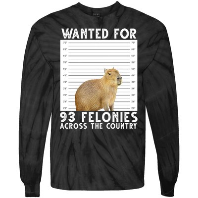 Wanted For 93 Felonies Across The Country Capybara Mugshot Tie-Dye Long Sleeve Shirt