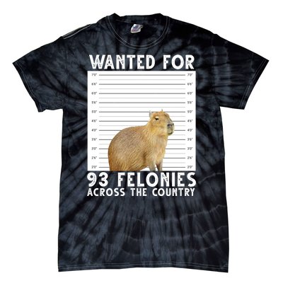 Wanted For 93 Felonies Across The Country Capybara Mugshot Tie-Dye T-Shirt