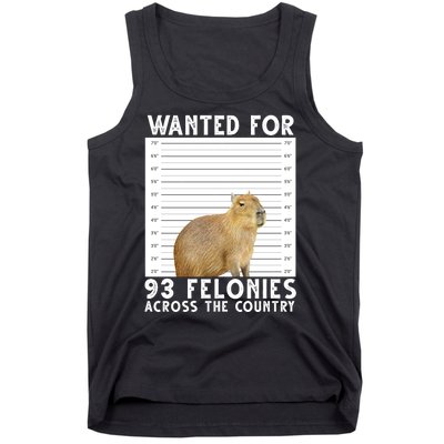 Wanted For 93 Felonies Across The Country Capybara Mugshot Tank Top