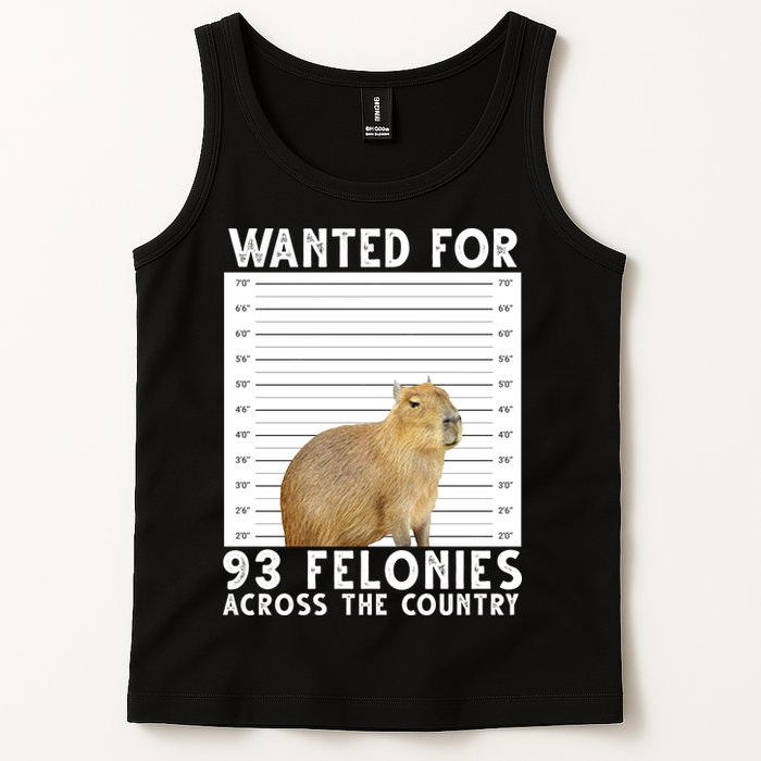 Wanted For 93 Felonies Across The Country Capybara Mugshot Tank Top