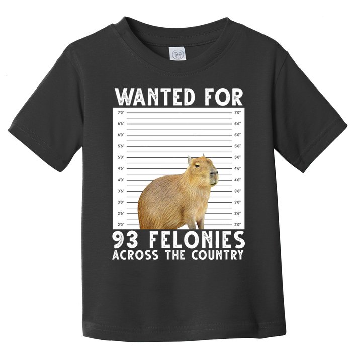 Wanted For 93 Felonies Across The Country Capybara Mugshot Toddler T-Shirt