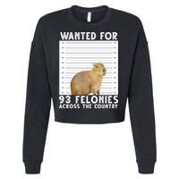 Wanted For 93 Felonies Across The Country Capybara Mugshot Cropped Pullover Crew
