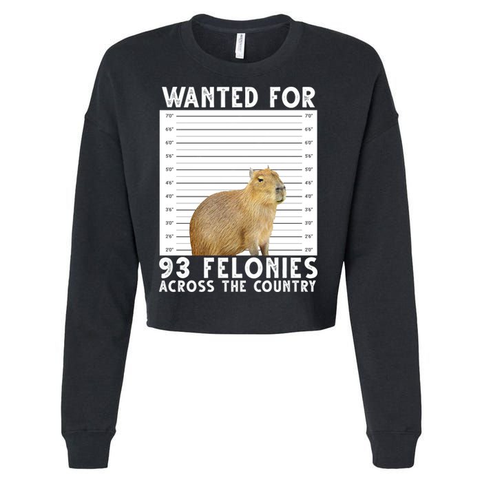 Wanted For 93 Felonies Across The Country Capybara Mugshot Cropped Pullover Crew