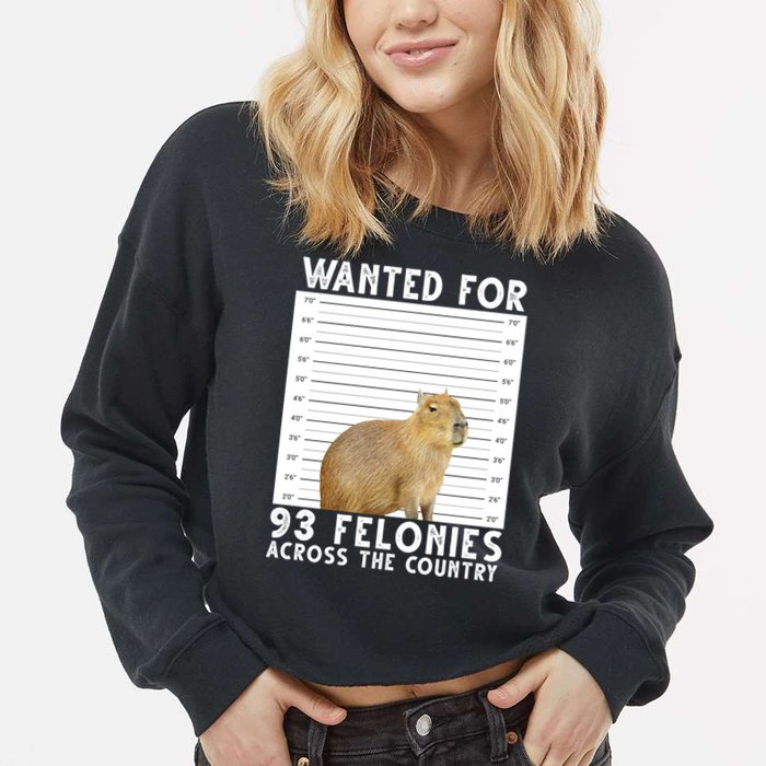 Wanted For 93 Felonies Across The Country Capybara Mugshot Cropped Pullover Crew
