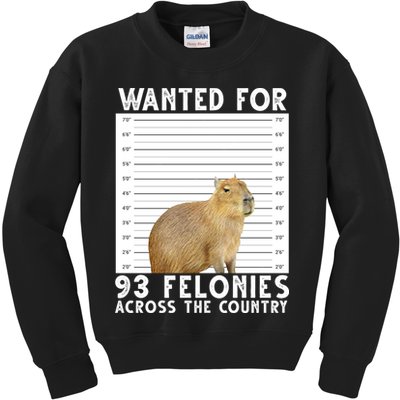 Wanted For 93 Felonies Across The Country Capybara Mugshot Kids Sweatshirt
