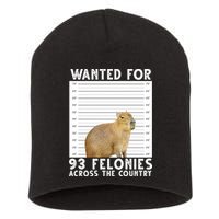 Wanted For 93 Felonies Across The Country Capybara Mugshot Short Acrylic Beanie