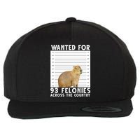Wanted For 93 Felonies Across The Country Capybara Mugshot Wool Snapback Cap
