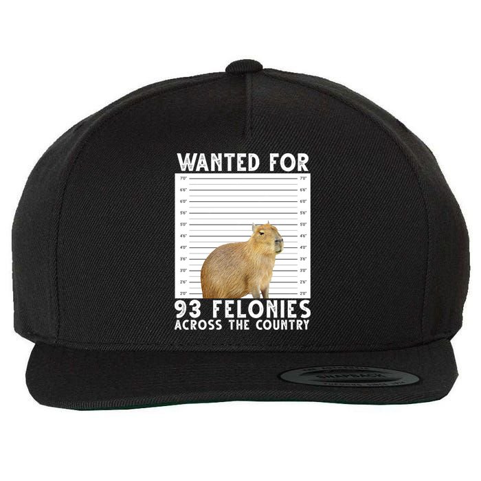Wanted For 93 Felonies Across The Country Capybara Mugshot Wool Snapback Cap