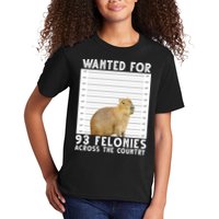 Wanted For 93 Felonies Across The Country Capybara Mugshot Kids T-Shirt