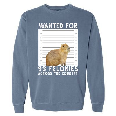 Wanted For 93 Felonies Across The Country Capybara Mugshot Garment-Dyed Sweatshirt