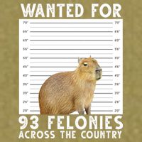 Wanted For 93 Felonies Across The Country Capybara Mugshot Garment-Dyed Women's Muscle Tee