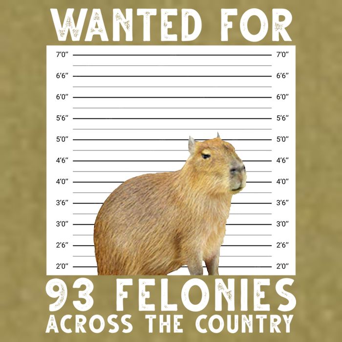 Wanted For 93 Felonies Across The Country Capybara Mugshot Garment-Dyed Women's Muscle Tee