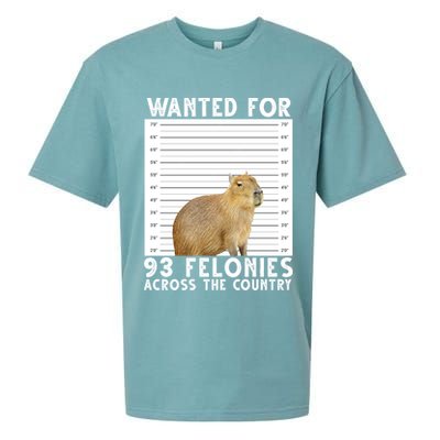 Wanted For 93 Felonies Across The Country Capybara Mugshot Sueded Cloud Jersey T-Shirt