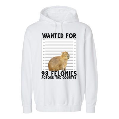 Wanted For 93 Felonies Across The Country Capybara Mugshot Garment-Dyed Fleece Hoodie