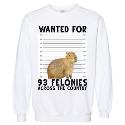 Wanted For 93 Felonies Across The Country Capybara Mugshot Garment-Dyed Sweatshirt