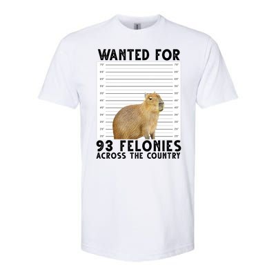 Wanted For 93 Felonies Across The Country Capybara Mugshot Softstyle CVC T-Shirt