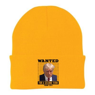 Wanted For A Second Term Trump 2024 Mugshot Knit Cap Winter Beanie